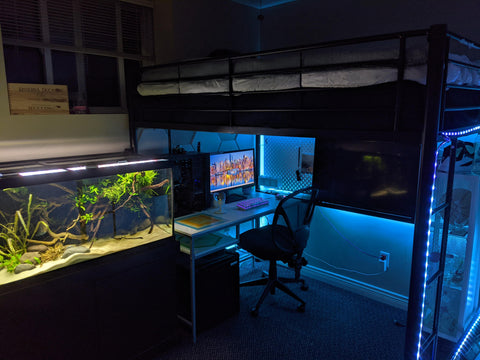 Gaming Beds